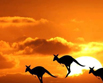 gửi hàng đi australia