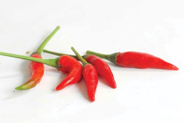 đi du lịch mang ớt, bò khô giấu trong vali: bị phạt 700 triệu đồng